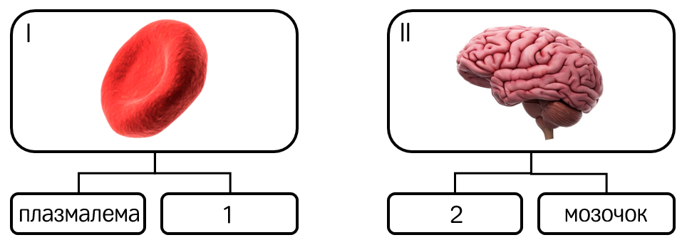12d0dc00-b9ca-49d7-832b-a5b61dceb95a_29c1f990-1b69-4353-8742-ad803b4bcdb8.png